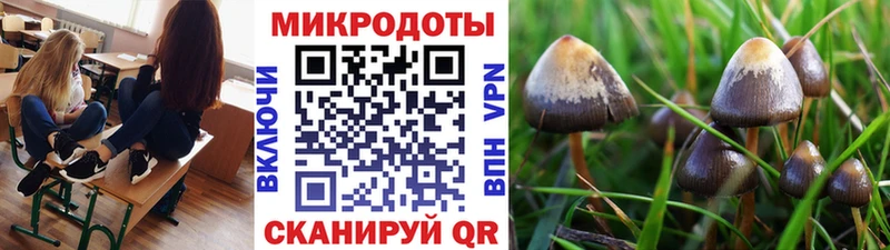 Купить закладки  Лянтор  Псилоцибиновые грибы MAGIC MUSHROOMS 